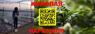 прущие грибы Малгобек