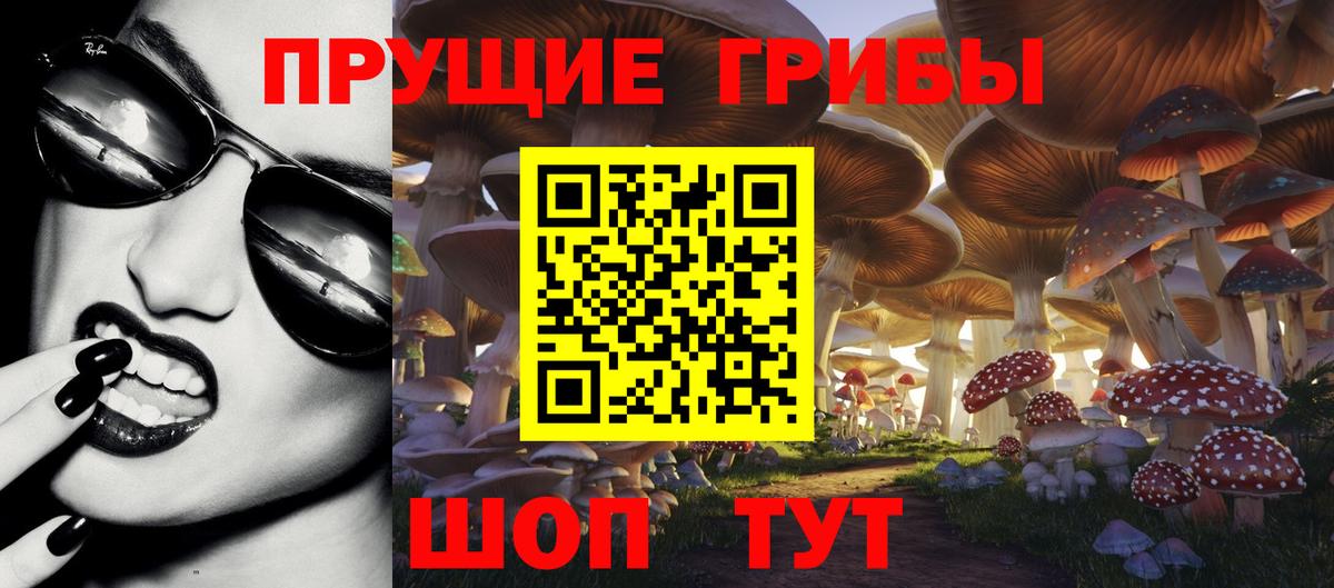 Псилоцибиновые грибы ЛСД Удомля