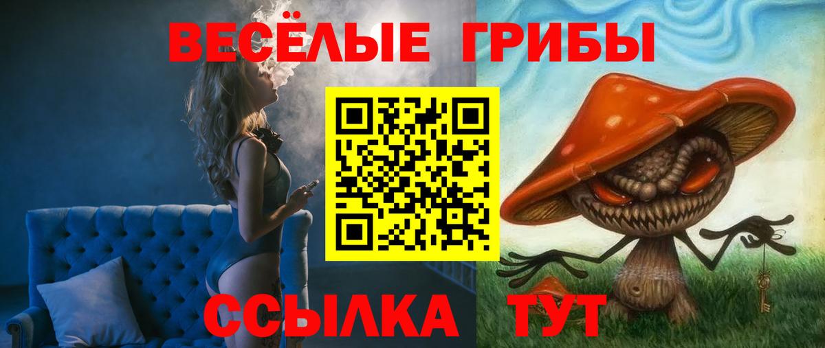 Удомля  Псилоцибиновые грибы GOLDEN TEACHER  Вход с VPN  Галлюциногенные грибы Magic Shrooms 